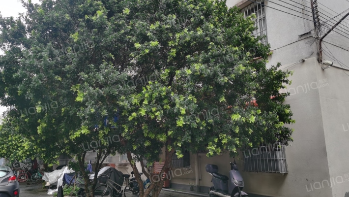 商东小区外景图