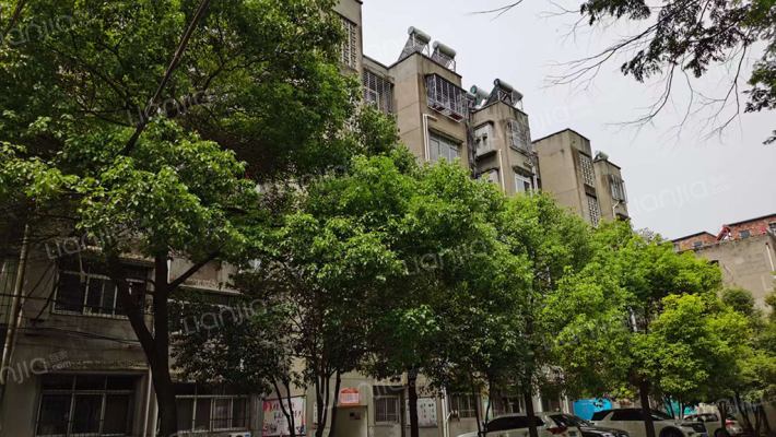 纤维检验局家属院外景图