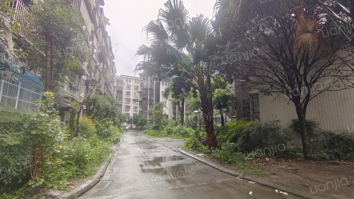 沙西明珠外景图