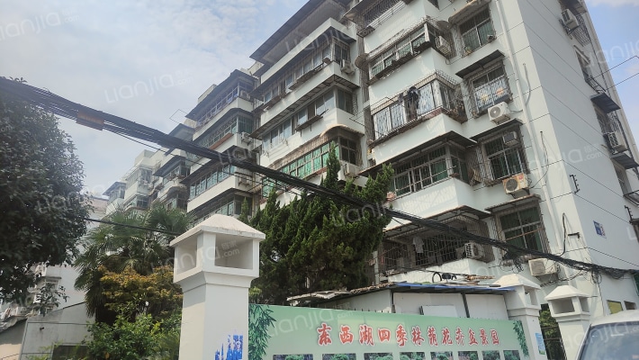 三支沟集资楼外景图