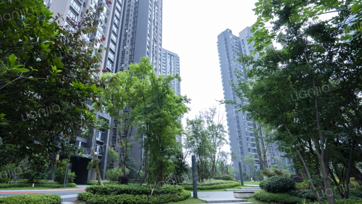 汇金城三期外景图