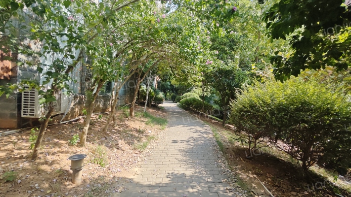 中江金域蓝湾外景图