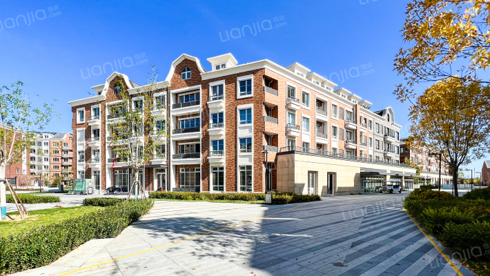 水岸雁栖外景图