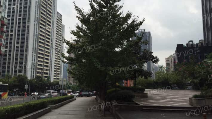 光华龙都外景图