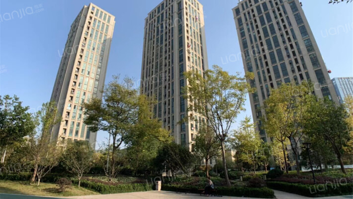 桂花星座外景图