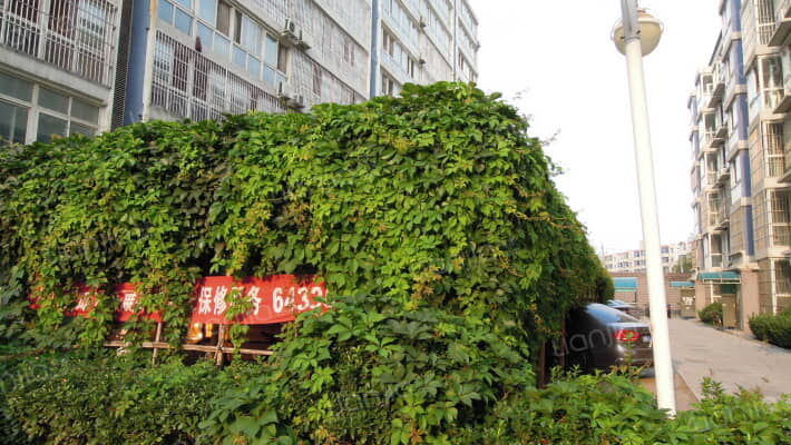 神龙潼关二区外景图