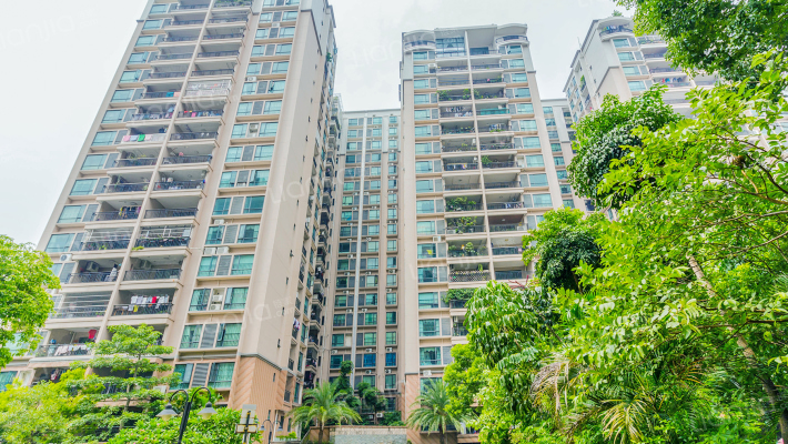 南湖雅苑外景图