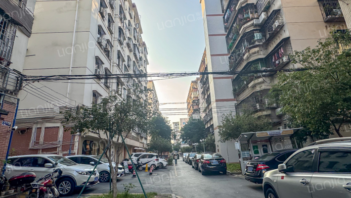 中蓝东路外景图