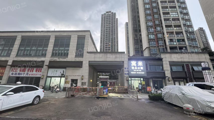 恒大滨江左岸外景图