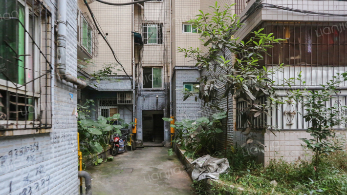 福红路7号外景图