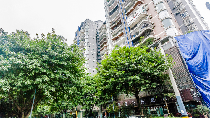 时代雅苑外景图