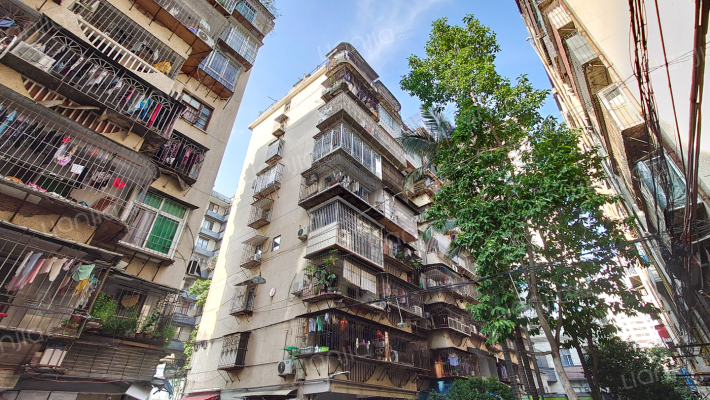 保定新村外景图