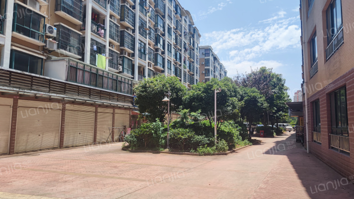 东楚▪金橋港湾外景图