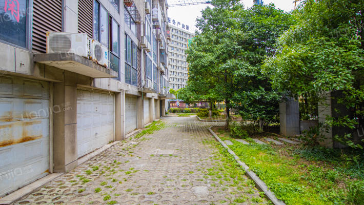 银星苑公寓外景图