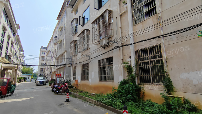 桐梓岗村七组外景图