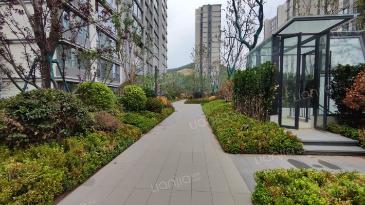 森林公园外景图