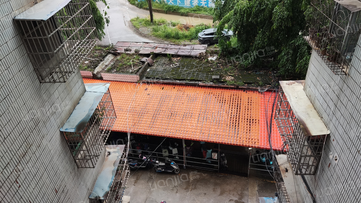 民贸花园外景图