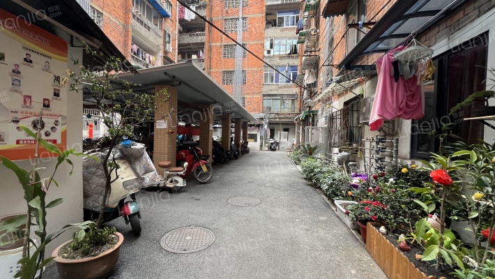 城隍东巷39号外景图