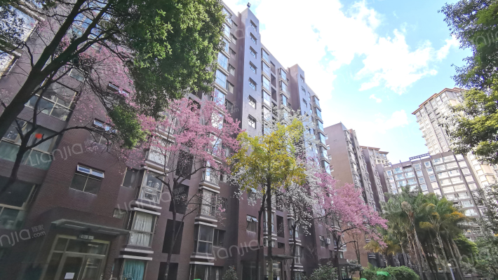 香樟俊园外景图