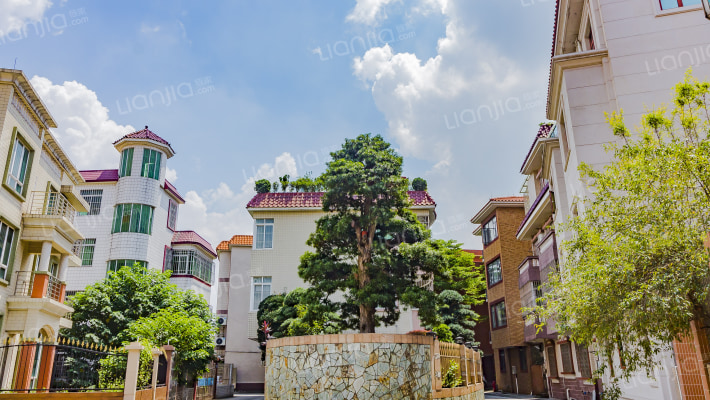 玉龙园B区外景图