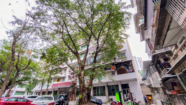 医药公司家属院外景图