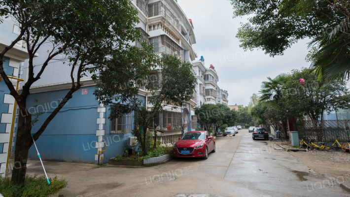 蓝园文院外景图