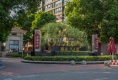 泰盈八千里16