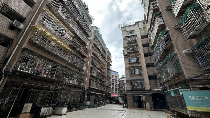 市西路5号外景图