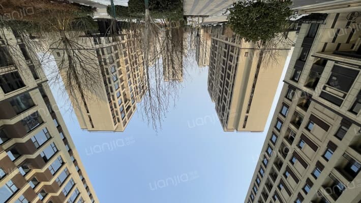 金地风华大境外景图