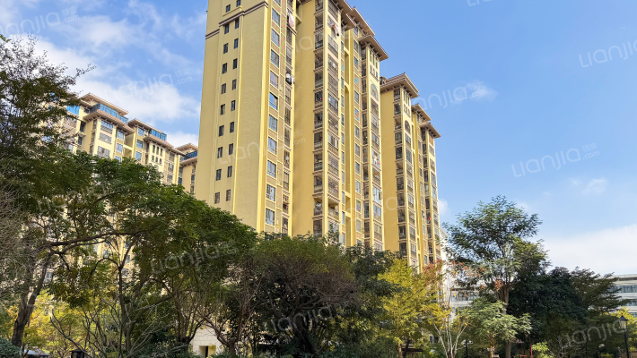 黎安D小区外景图