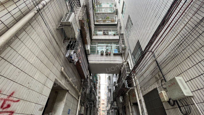 葡萄苑东区外景图