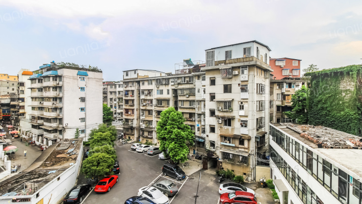 新桥园巷73号小区外景图