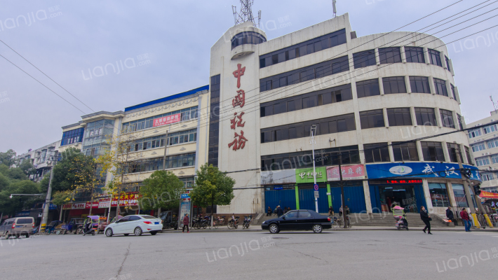 树藩大街455号外景图