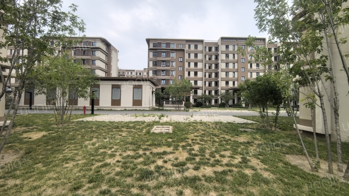 实地蔷薇国际外景图