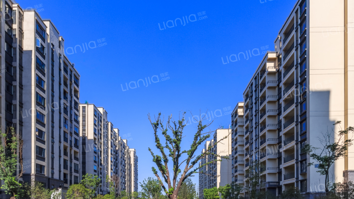 金辉浅湾雅苑外景图