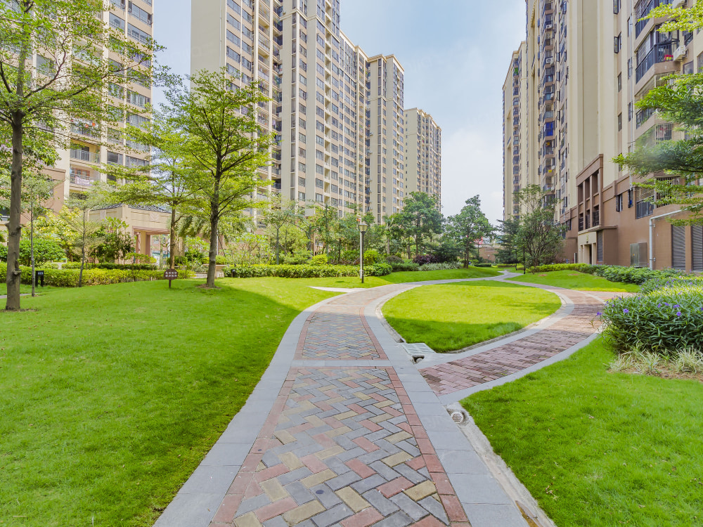 光明花半里相册