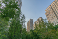 小石城2区玉兰园12