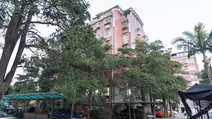 曾厝垵西里外景图