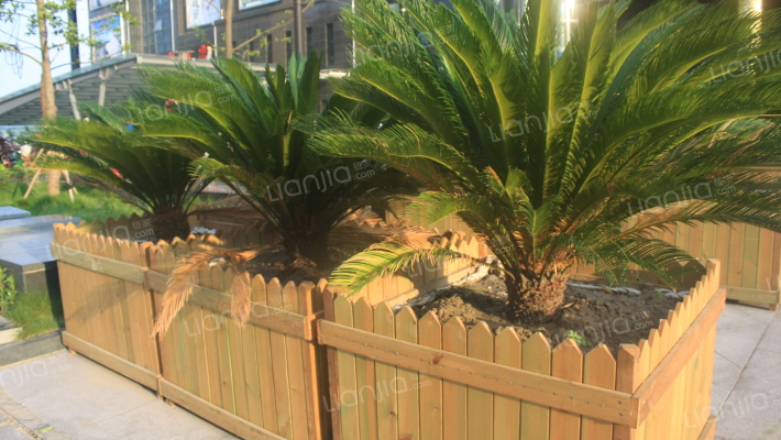 东沙商业中心外景图