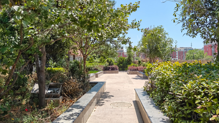 金桂香寓外景图