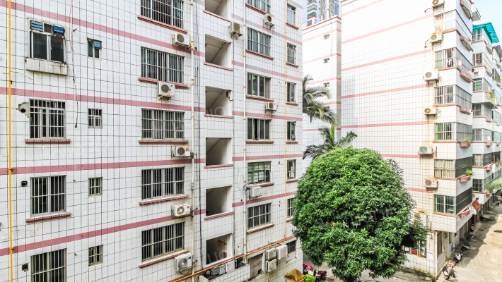 竹苑公寓外景图