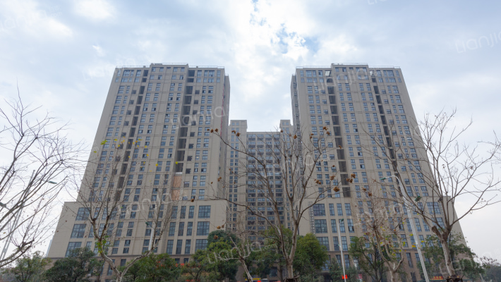 百富联合国际奥体之星外景图