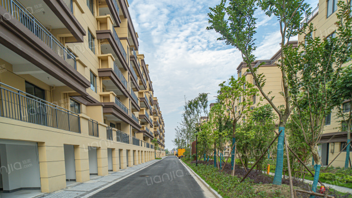 玉兰雅居外景图