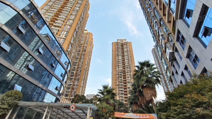 经典双城D区外景图