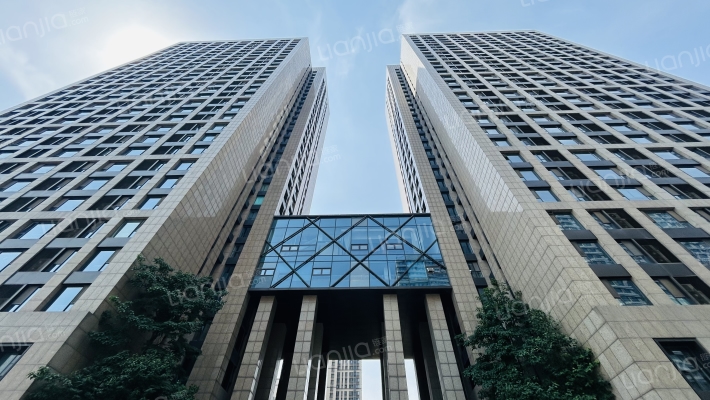 海信龙奥九号外景图