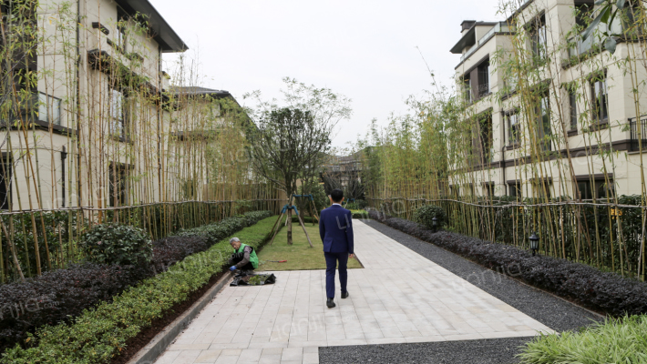 金开融府外景图