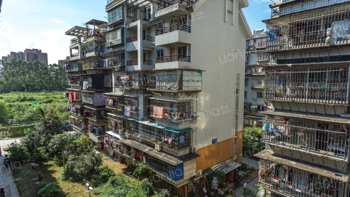 南台新苑紫荆园外景图