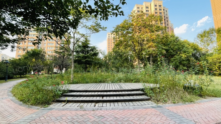 华厦津典三期外景图