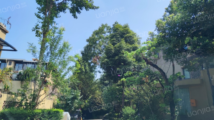 花样年大溪谷果墅外景图