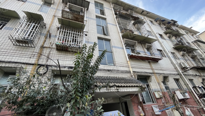 景凤街133号外景图